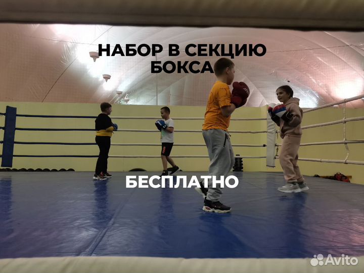 Тренировки по боксу