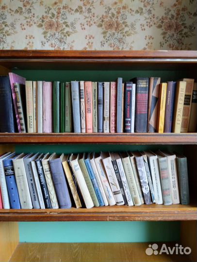 Остались эти книги