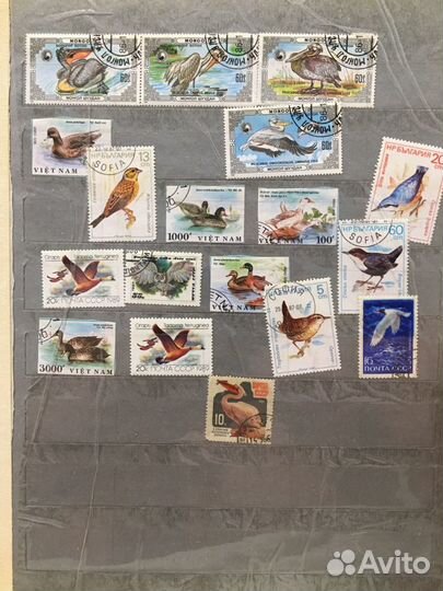 Почтовые марки