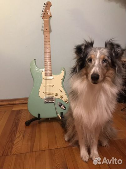 Jet stratocaster surf green