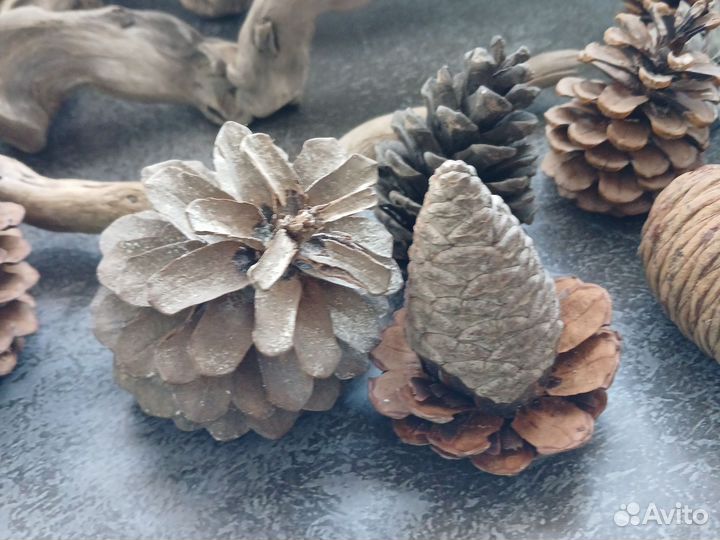 Природные материалы для творчества