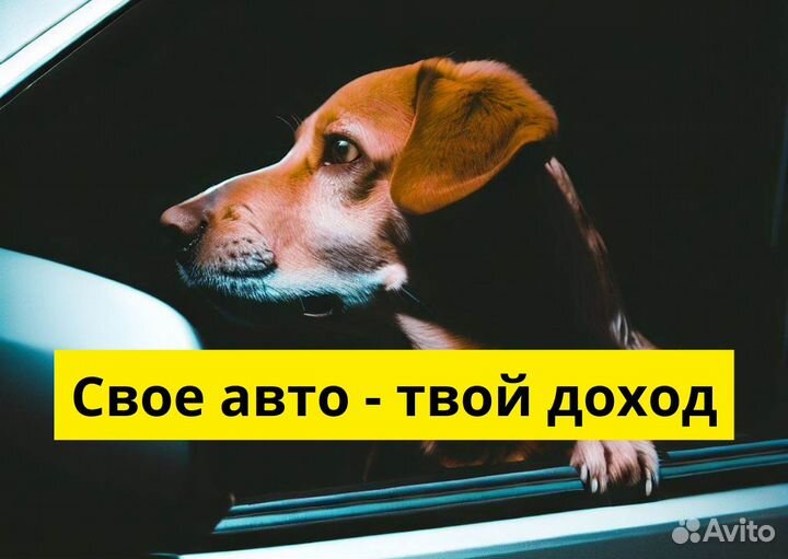 Яндекс Go ждет водителей на своих авто