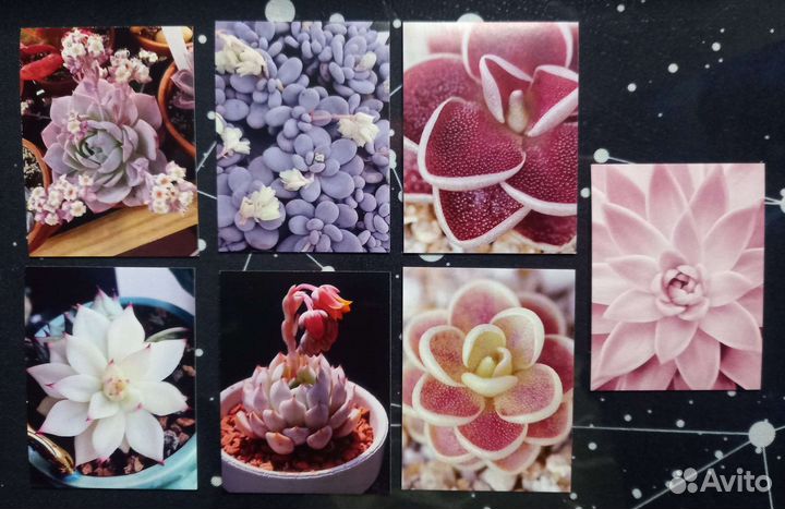 Набор наклеек. Стикеры 