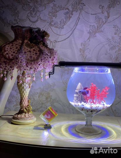 Аквариум ваза