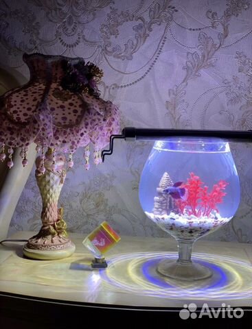 Аквариум ваза