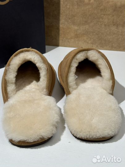 Ugg Mens Scuff Slipper Chestnut