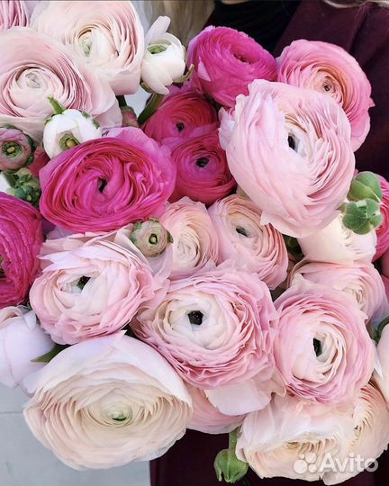 Букет из ранункулюса