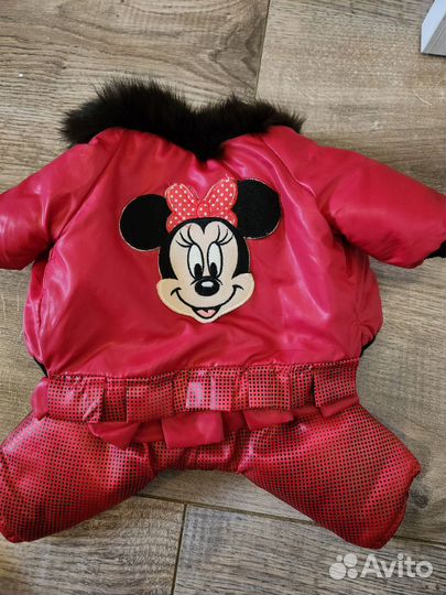 Одежда для маленьких собак