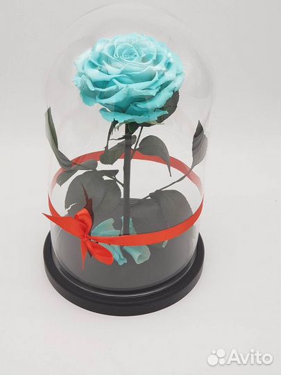 Неувядающая роза в колбе
