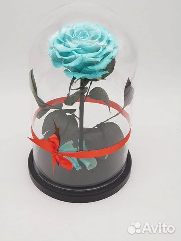 Неувядающая роза в колбе