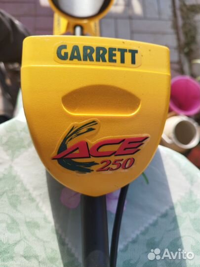 Металлоискатель garrett ace 250