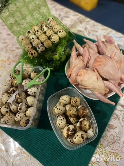 Яйца перепелиные