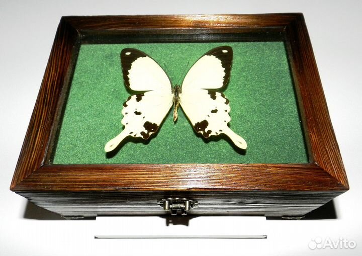 Шкатулка для украшений