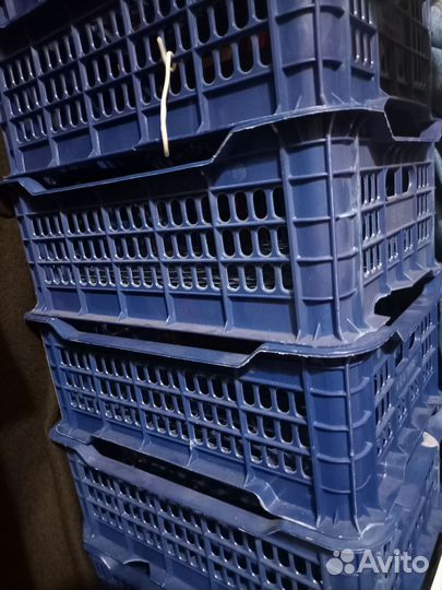 Пластиковые ящики бу