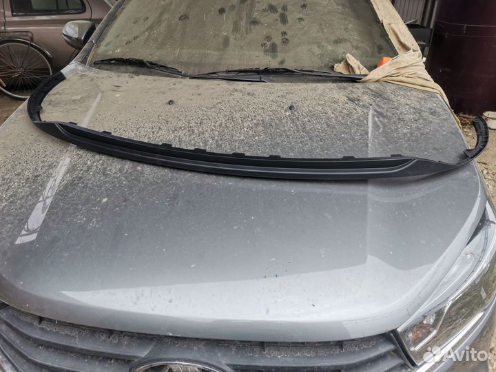 Нижняя передняя губа