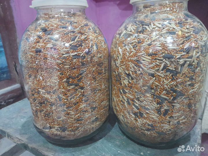 Корм для попугаев