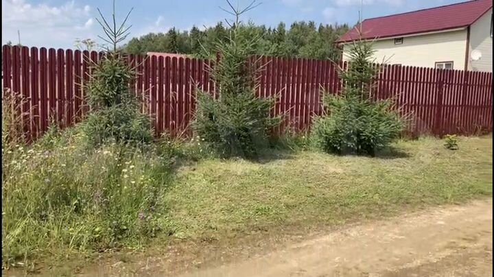 Участок 20 сот. (СНТ, ДНП)