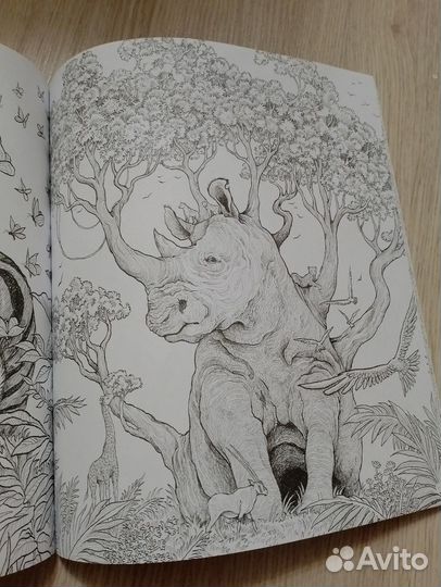 Экстремальные раскраски (аниморфозы) новые Бронь