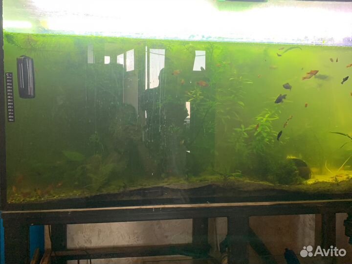 Аквариум