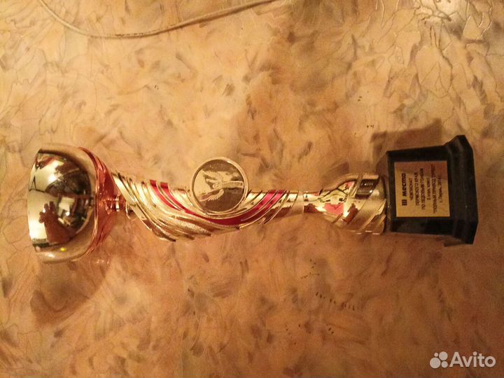 Кубки спортивные