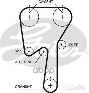 5509XS ремень грм 142x230HVolvo S40-S80 1.6-2