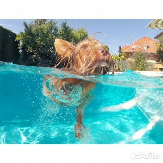 Бокс купольный Dome Port для GoPro Hero 3/3+/4