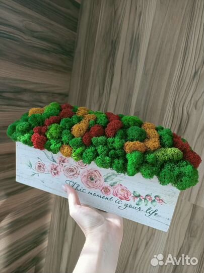 Декор для дома, подарок, композиция из мха
