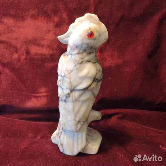 Мраморный попугай СССР