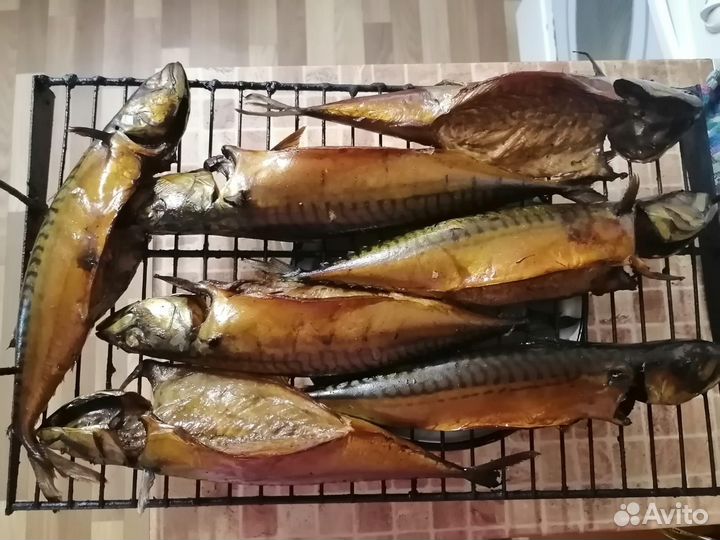 Мясо кролика