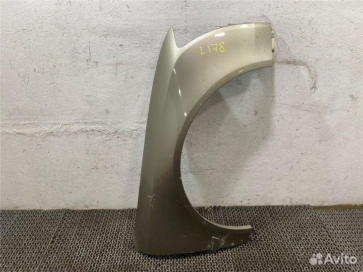 Крыло Audi A8 (D3), 2009