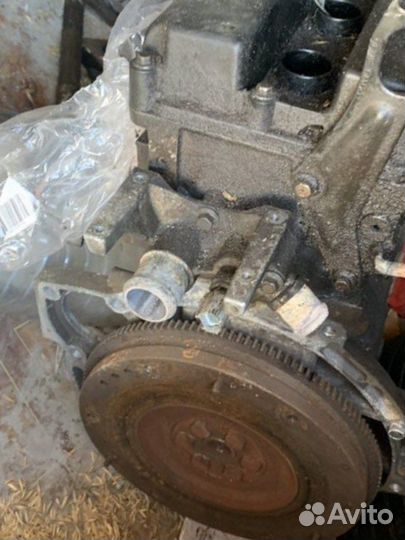Двигатель ford fusion 1.6