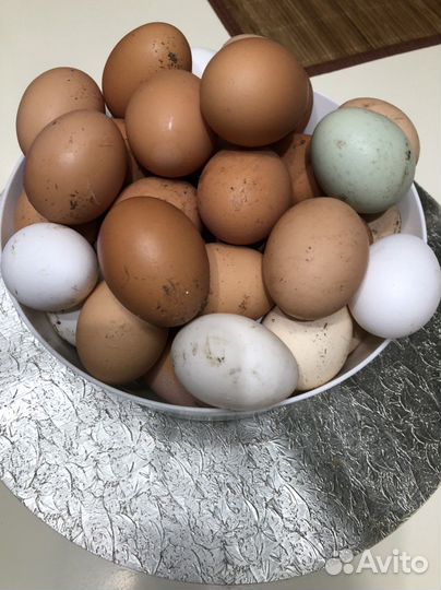 Домашние куриные яйца