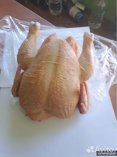 Куры бройлеры на мясо, тушки