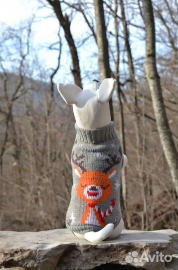 Свитер для кошек и собак