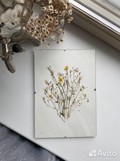 Картина-гербарий 