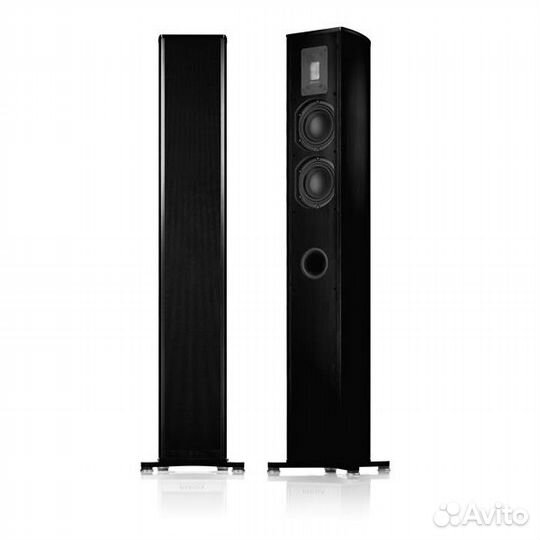 Напольная акустика Piega Premium 501 AB