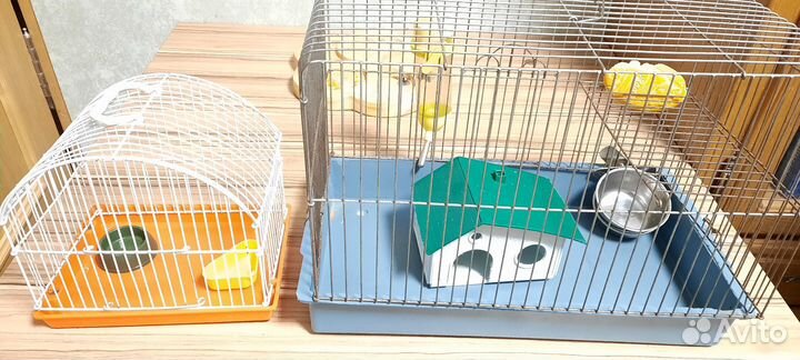 Клетка и переноска для грызунов