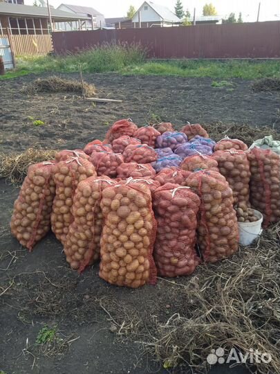 Продукты питания