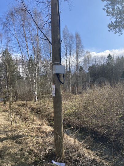 Участок 12 сот. (СНТ, ДНП)