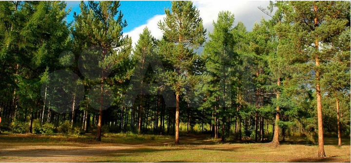 Участок 12 сот. (СНТ, ДНП)