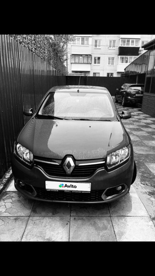 Renault Sandero: фото владельца