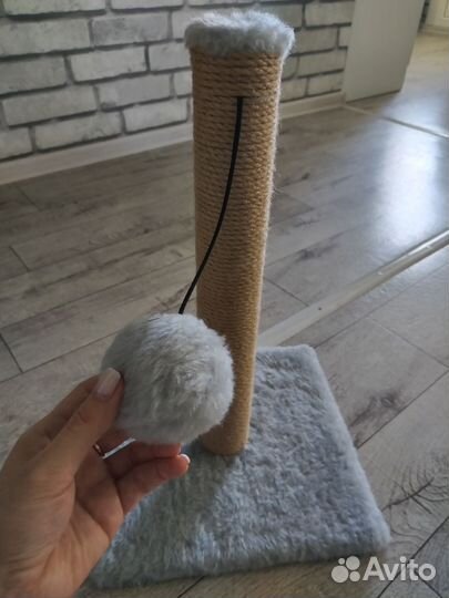 Когтеточка