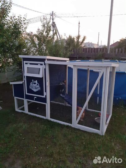 Мини курятник