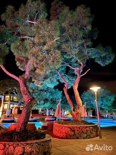 Горящие туры в турцию