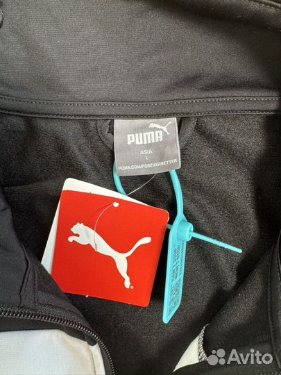 Спортивный костюм puma мужской оригинал