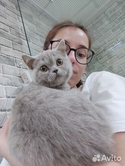 Няня для животных, зооняня, котоняня