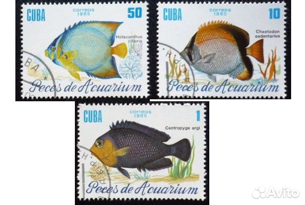 Марки морская Фауна Куба и СССР