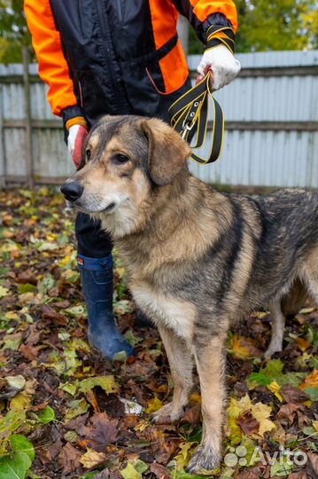 Малыш ищет дом