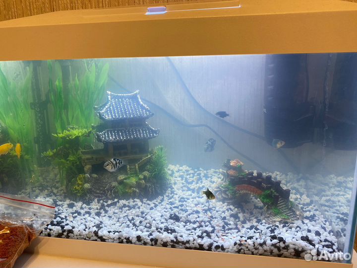 Аквариум aquael с комплектующими в комплекте