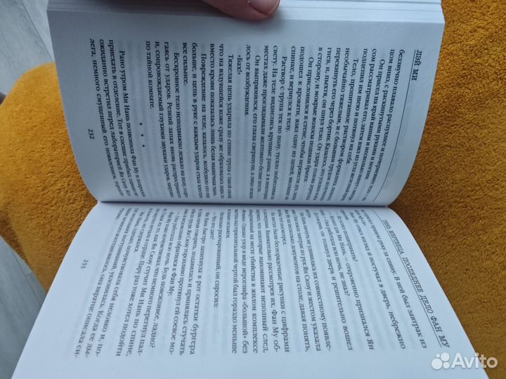 Лей Ми. Тень мертвеца